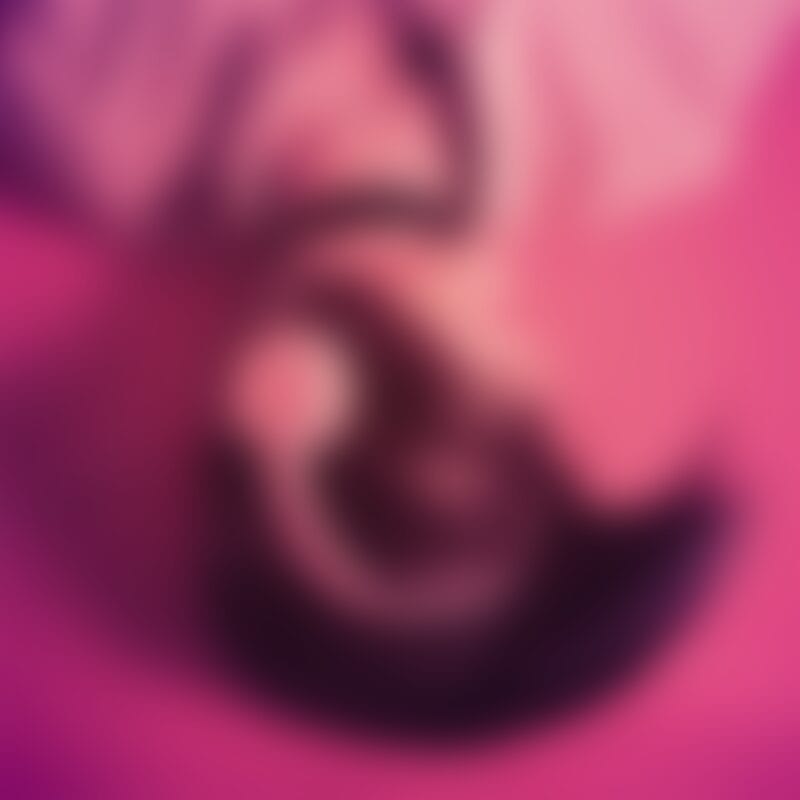 album04