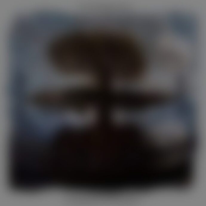 album040 e1638885118918